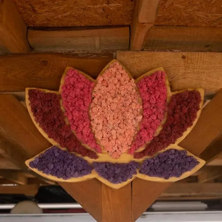 Къмпинг каравана Lotus- гардения *